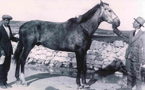 Open original Digital object