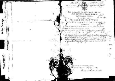 Open original Oggetto digitale