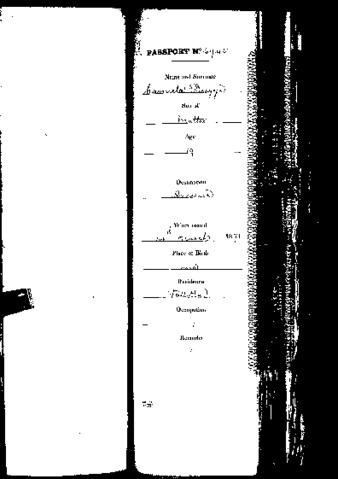 Open original Digital object