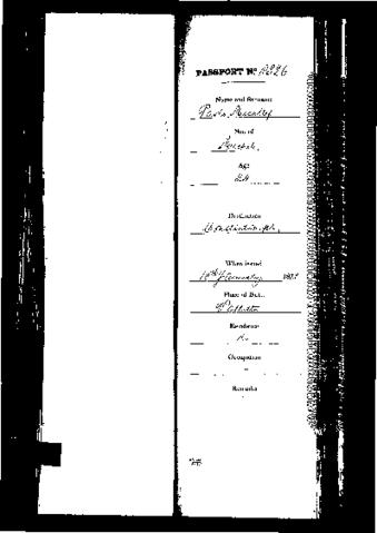 Open original Oggetto digitale