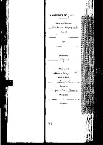 Open original Digital object