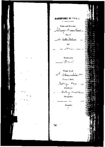 Open original Digital object