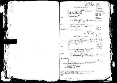 Open original Oggetto digitale