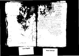 Passport Application of B …………. Fortunato