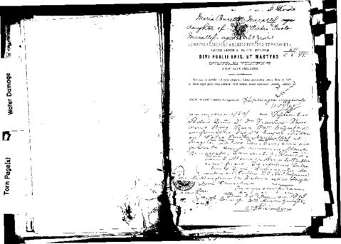 Open original Digital object