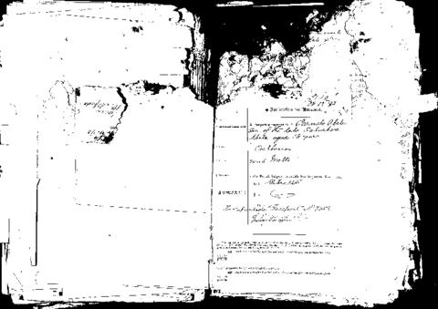 Open original Digital object