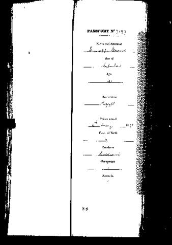 Open original Digital object