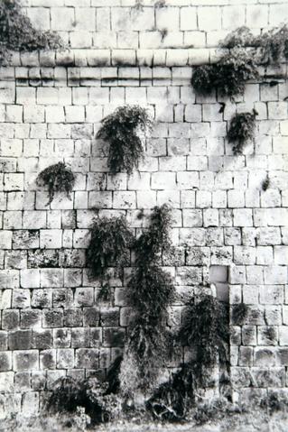 Open original Oggetto digitale