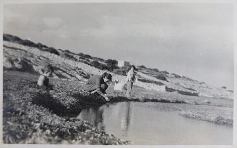 Open original Digital object