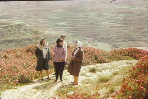 Open original Digital object