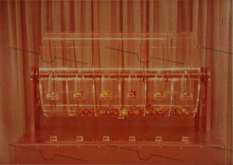 Open original Oggetto digitale