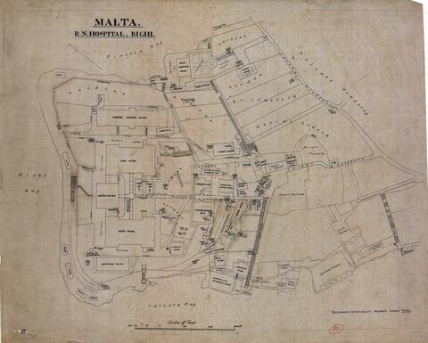 Open original Digital object