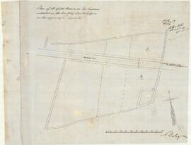 Plan of the field known as Ta Marcuasituated in the limits of Casal Balzan in the region of L Imriehel
